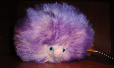 purple pygmy puff harry potter