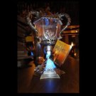 Wizarding World of Harry Potter Tri Wizard Cup Light Up Glows Universal Studios