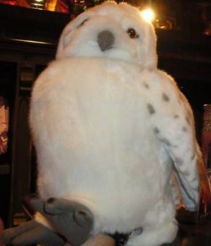 hedwig stuffed animal universal