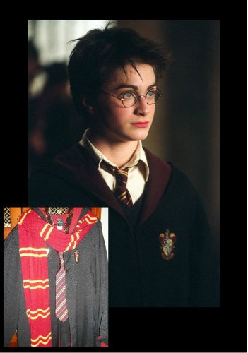 Harry Potter Costume Wizarding World Halloween Theatrical Movie Quality