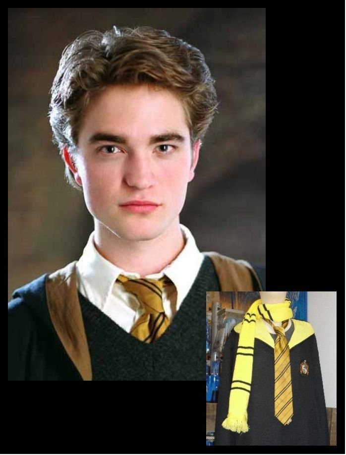 Wizarding World of Harry Potter Cedric Diggory Costume Movie Quality