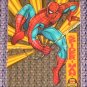 Marvel Universe 1994 (Fleer) Suspended Animation Card #6- Spider-Man NM-M