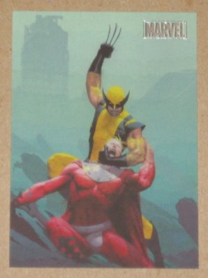 Marvel Heroes and Villains (Rittenhouse 2010) Parallel Card #35- Wolverine vs. Magneto NM