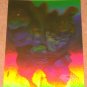 Superman Holo Series (Fleer/SkyBox 1996) Gold Card #49- The Hero Confirmed EX