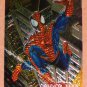 Spider-Man, Fleer Ultra (1995) Golden Web Card #7- Spider-Man EX