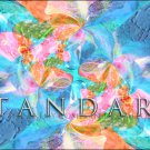 Package 1 (Standard)