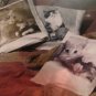 New Set of 3 "Cats" Decor Pillowcases (Covers) 100% Linen flax 15.7"x15.7'' in package