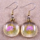 DICHROIC Glass EARRINGS Pink Pattern Dots over Clear Amber, Dangle Surgical 3/4"