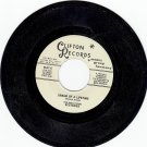 ECSTASIES ~ Dream Of A Lifetime*Mint-45 !