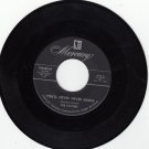 PLATTERS ~ You're Never Never Know*Mint-45