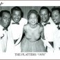 PLATTERS ~ You're Never Never Know*Mint-45