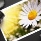 Digital Photography