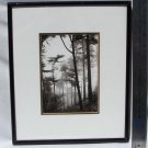 Chris Barton, TREES AND FOG, SUTRO HEIGHTS, rare black & white print, framed