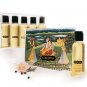Massage Therapy Kit