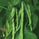 White Kidney Bean Powder Extract