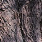 White willow bark Extract/Salix alba/Salicin 15%,20% HPLC