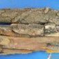 White Willow Bark P.E Salicin 20%