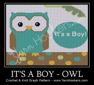 It's a BOY - OWL - Afghan Crochet Graph Pattern Chart