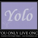 YoLo - You Only Live Once - Afghan Crochet Graph Pattern Chart