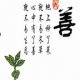 CHINESE CALLIGRAPHY&CHINESE PICTURE