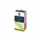 2 LOT X Schwabe Homeopathy Echinacea Angustifolia Tablets - The Immune Stimulate