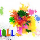 WHOLESALE LOT - HOLI COLORS POWDER (MULTICOLORS - 8 lbs - 1lbs each color)