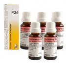 5 x Dr.Reckeweg-Germany R36- Nervous Disease (Pack of 5)