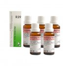 5 x Dr.Reckeweg-Germany R29- Vertigo, Syncope Drops (Pack of 5)