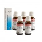 5 x Dr.Reckeweg-Germany R26- Draining And Stimulating Drops (Pack of 5)