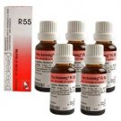 5 x Dr.Reckeweg-Germany R55- Injuries, Healing Drops. (Pack of 5)