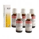 5 x Dr.Reckeweg-Germany R37- Intestinal Drops (Pack of 5)