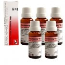 5 x Dr.Reckeweg-Germany R41- Sexual Weakness Drops. (Pack of 5)