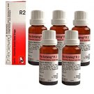 5 x Dr.Reckeweg-Germany R2-Essentia Aurea-Gold Drops (Pack of 5)