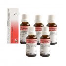 5 x Dr.Reckeweg-Germany R81- Analgesic Drops (Pack of 5)