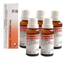 5 x Dr.Reckeweg-Germany R18- Kidney And Bladder Drops (Pack of 5)