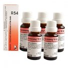 5 x Dr.Reckeweg-Germany R54- Memory Drops. (Pack of 5)