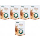 5 pack X Himalaya Natural Moisturizing Lip Butter