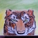 Oil painting tiger
