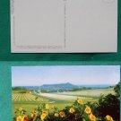 NATIONAL CEMETERY IN VOLCANO HAWAII VINTAGE POSTCARD