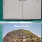 HAWAII MONKEY POD HARDWOOD TREE OLD VINTAGE POSTCARD