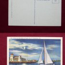 Sailboat Sailing Tampa Bay Moon Moonlight @ Night View Old VINTAGE POSTCARD PC