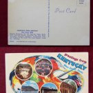 GREETINGS FROM KENTUCKY BLUE GRASS OLD VINTAGE POSTCARD