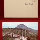 Linville NC North Carolina Grandfather Mountain Swinging Bridge Old POSTCARD PC