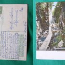 1910 STAMP FRANCONIA NOTCH THE FLUME VINTAGE POSTCARD