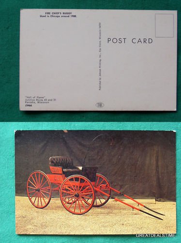 FIRE CHIEF HORSE BUGGY OLD VINTAGE PHOTO POSTCARD