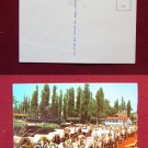 Xochimilco Lake Mexico Boat Ride View Old VINTAGE Mexican Photo POSTCARD PC