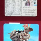 Mexican Art Pottery Bird Mexico Old VINTAGE Photo POSTCARD PC