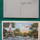 TEXAS STATE FLAG CAPITOL FLOWER VIEW VINTAGE POSTCARD