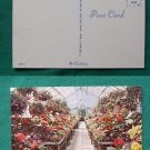 KINGWOOD CENTER FLOWER MANSFIELD OHIO VINTAGE POSTCARD