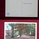 Marion MA Mass Water Street St House Tree View Old Linen VINTAGE POSTCARD PC
